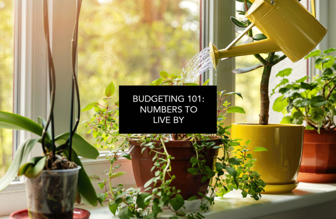 Numbers to Budget By